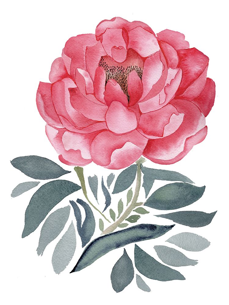 Imperial Peony art print by Julia Frost for $57.95 CAD