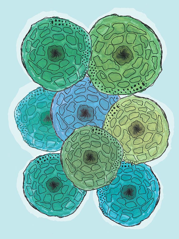 Sea Cookie 2 art print by Julia Frost for $57.95 CAD