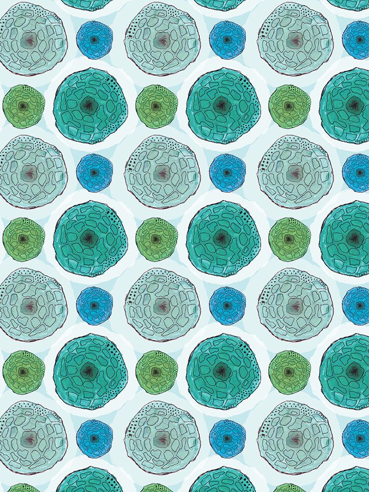 Sea Cookie 3 art print by Julia Frost for $57.95 CAD