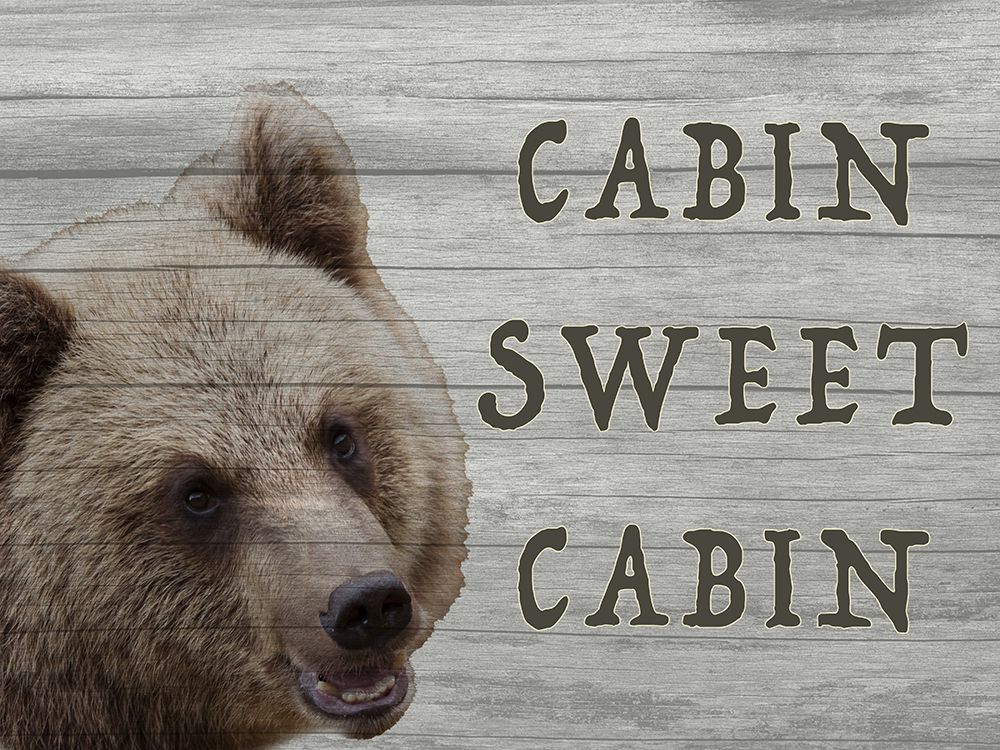 Cabin Sweet Cabin 1 art print by Julia Frost for $57.95 CAD