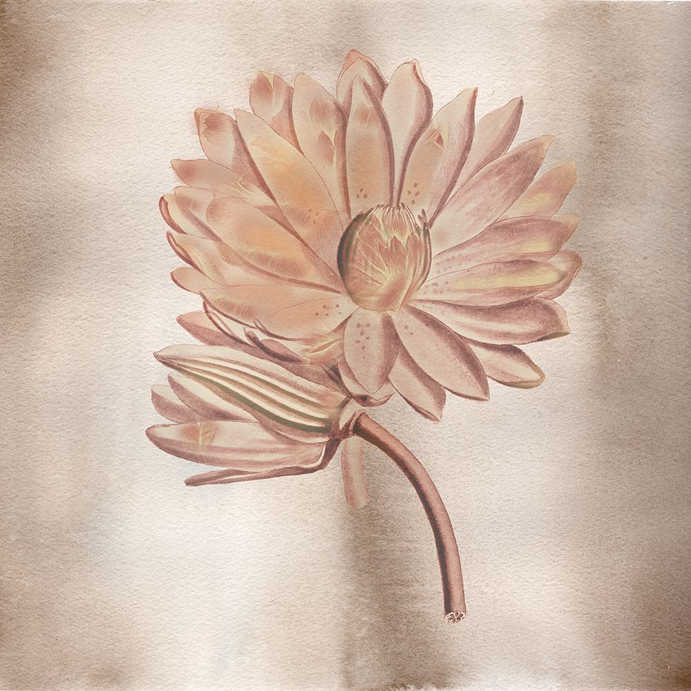 Vintage Flowers 2 art print by Julia Frost for $57.95 CAD
