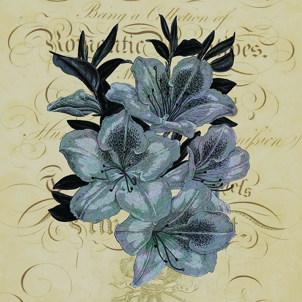 Cotillion Flowers 1 art print by Julia Frost for $57.95 CAD