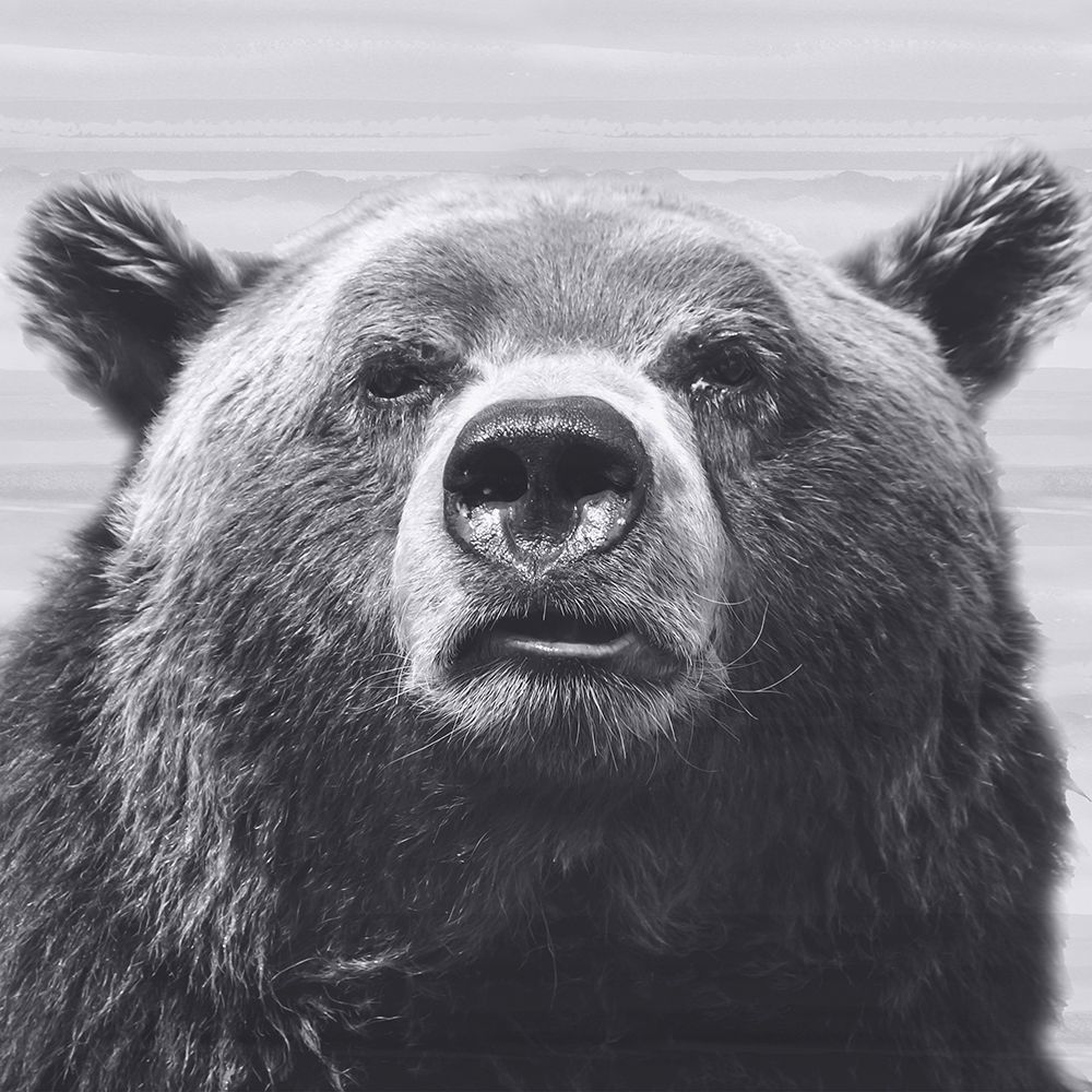 Bear Portrait 2 art print by Julia Frost for $57.95 CAD
