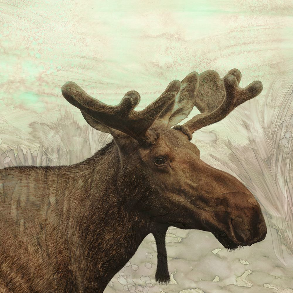 Moose Portrait 1 art print by Julia Frost for $57.95 CAD