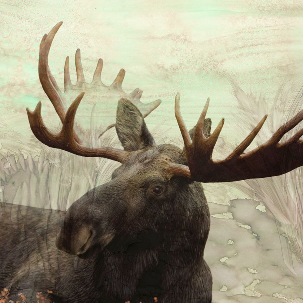 Moose Portrait 2 art print by Julia Frost for $57.95 CAD