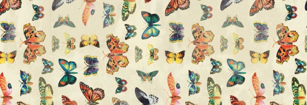 Butterflies art print by Jace Grey for $57.95 CAD