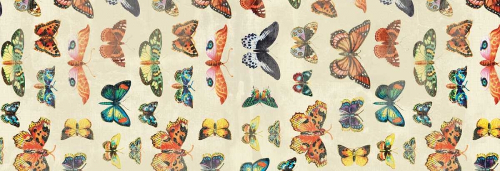 Butterflies art print by Jace Grey for $57.95 CAD