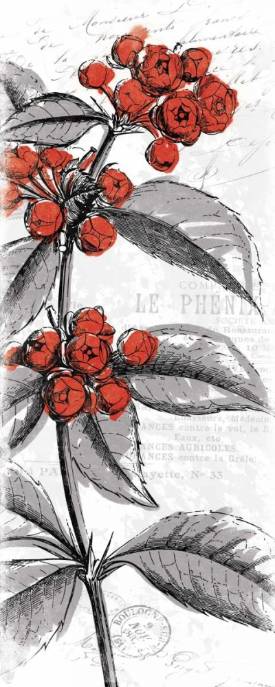 Red Flower art print by Jace Grey for $57.95 CAD