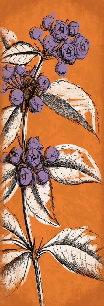 Flower art print by Jace Grey for $57.95 CAD