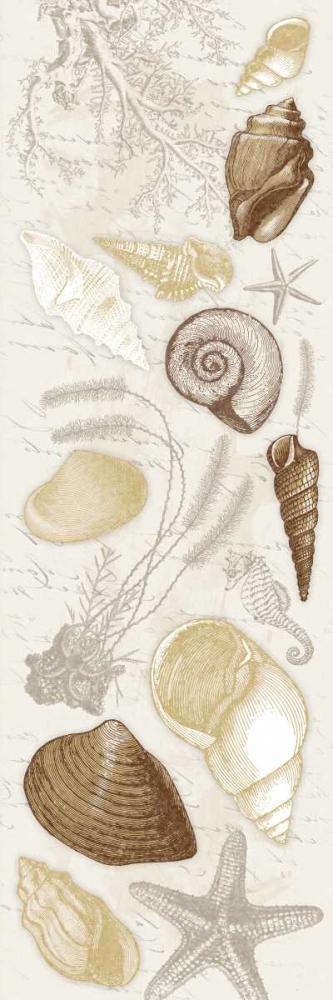 Shells art print by Jace Grey for $57.95 CAD