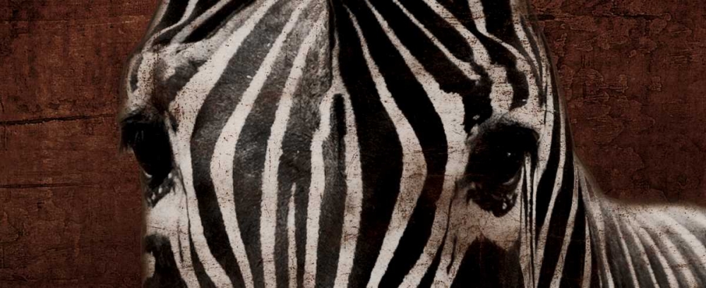 Zebra Eyes art print by Jace Grey for $57.95 CAD