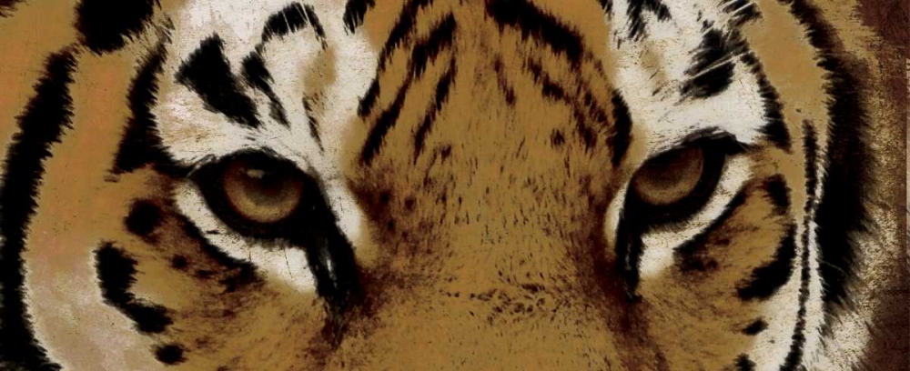 Tiger Eyes art print by Jace Grey for $57.95 CAD