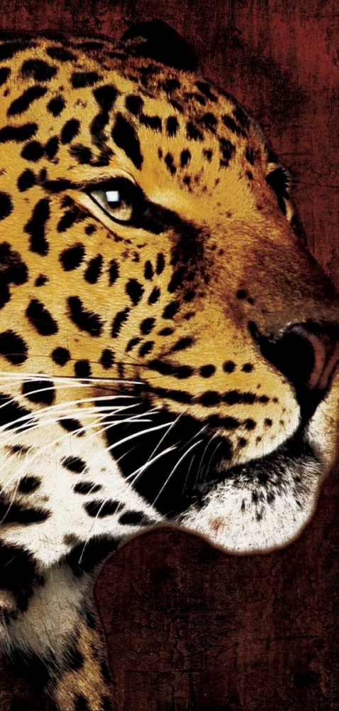 leopard art print by Jace Grey for $57.95 CAD