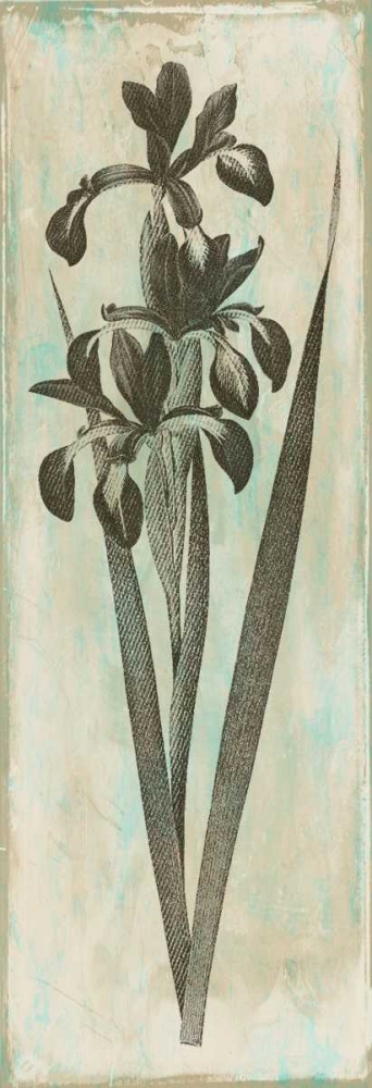 Earthy Floral art print by Jace Grey for $57.95 CAD