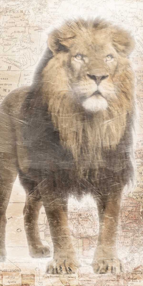 African Traveling  Animals Three art print by Jace Grey for $57.95 CAD