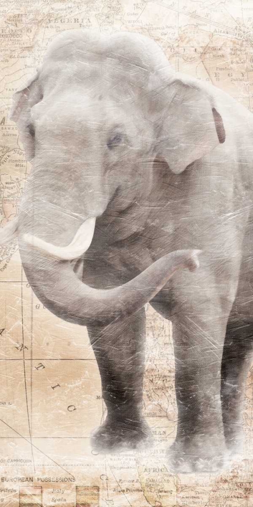 African Traveling  Animals Elephant art print by Jace Grey for $57.95 CAD