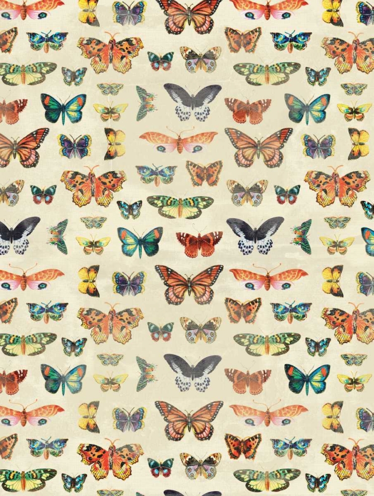 Butterflies art print by Jace Grey for $57.95 CAD