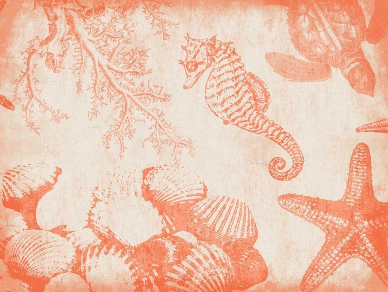 Sea Life in Tangerine 1 art print by Jace Grey for $57.95 CAD