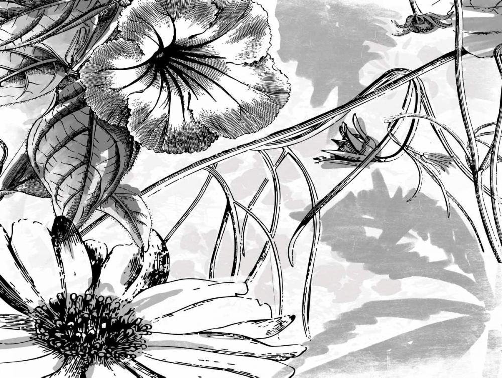 Simple BW Flower art print by Jace Grey for $57.95 CAD