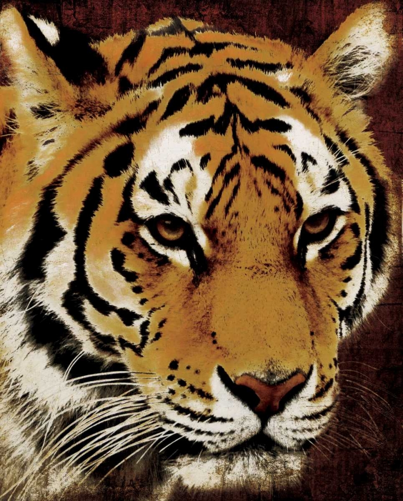 Tiger art print by Jace Grey for $57.95 CAD