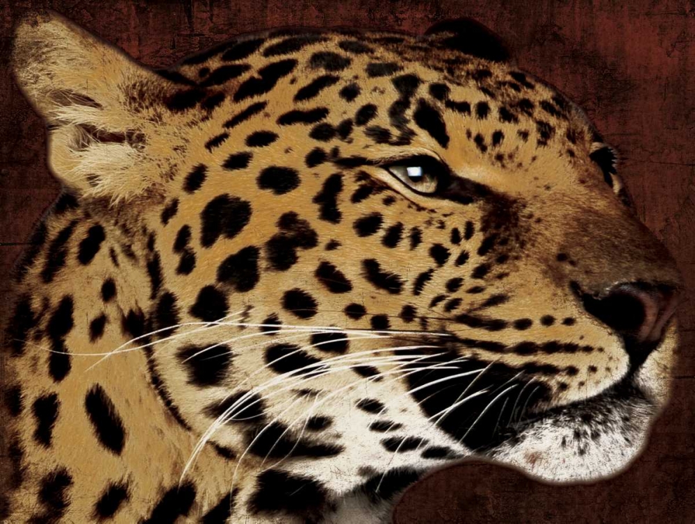 Leopard art print by Jace Grey for $57.95 CAD