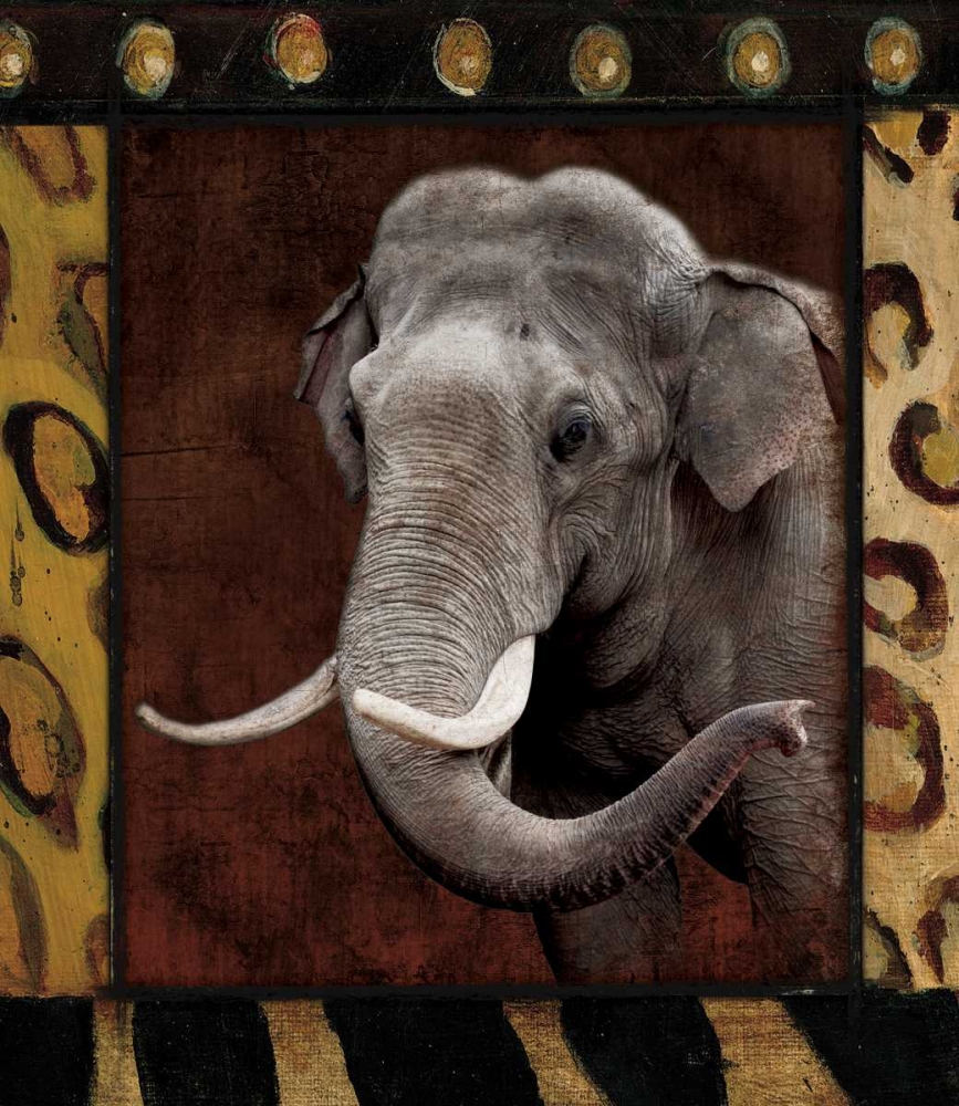 Elephant Bordered art print by Jace Grey for $57.95 CAD