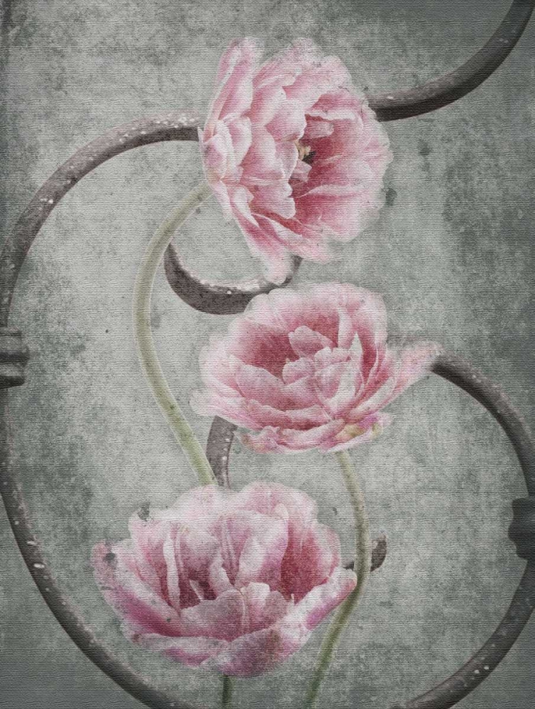 Floral Fence art print by Jace Grey for $57.95 CAD