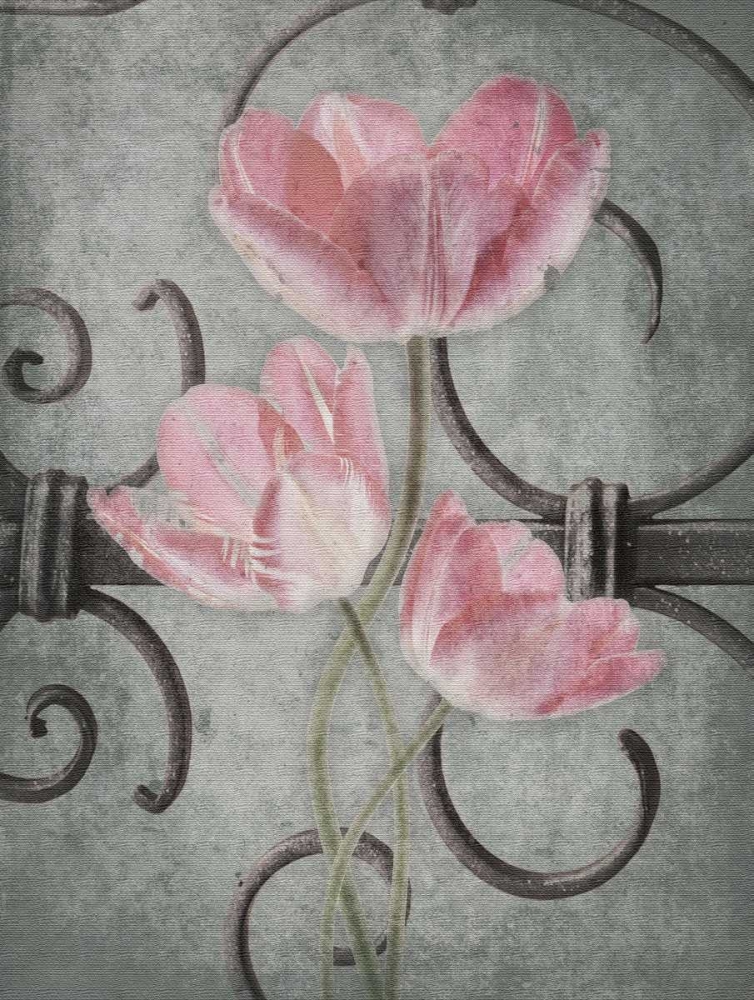 Floral Fence Mate art print by Jace Grey for $57.95 CAD