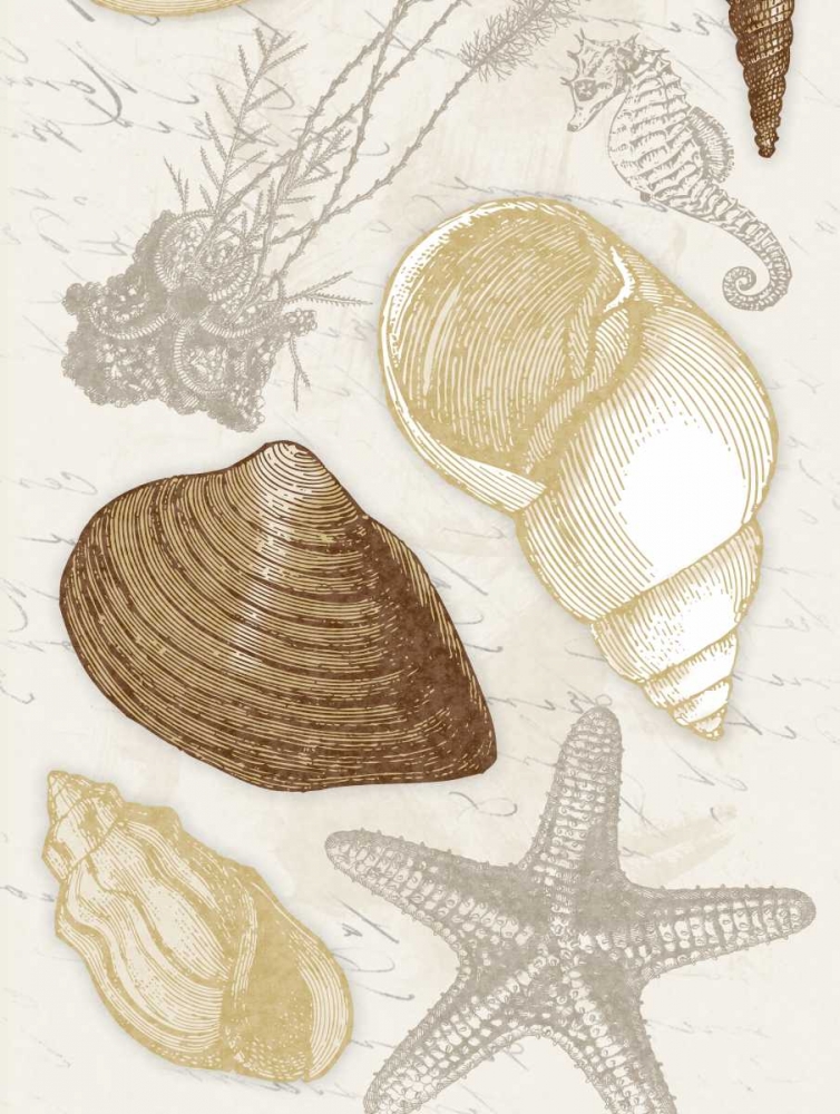 Shells art print by Jace Grey for $57.95 CAD