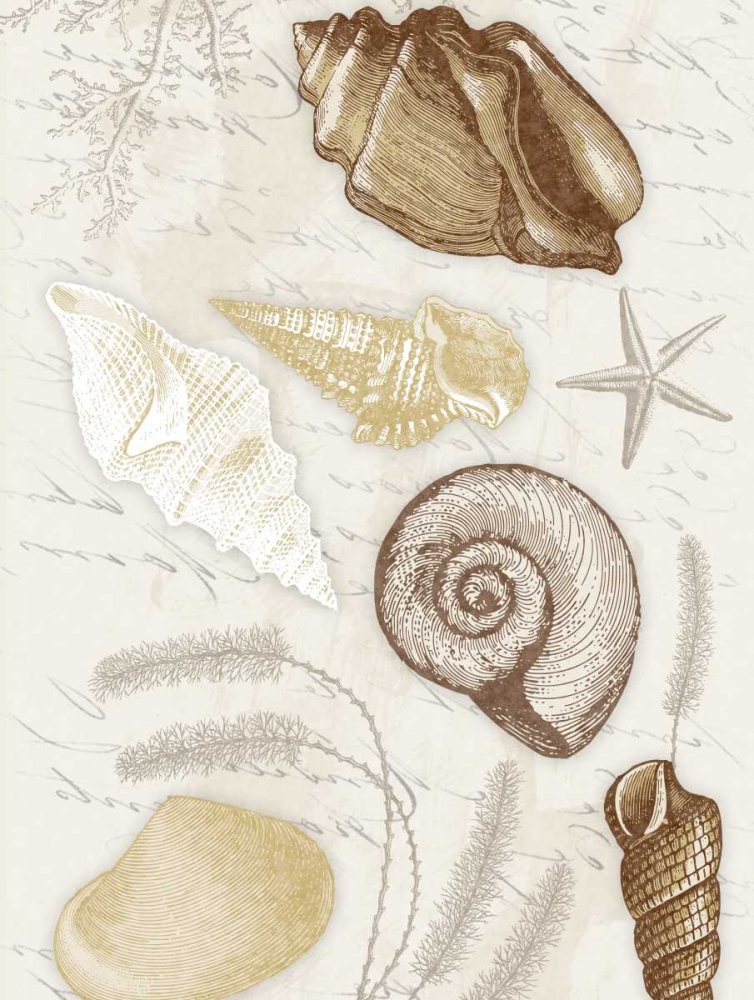 Shells Mate art print by Jace Grey for $57.95 CAD