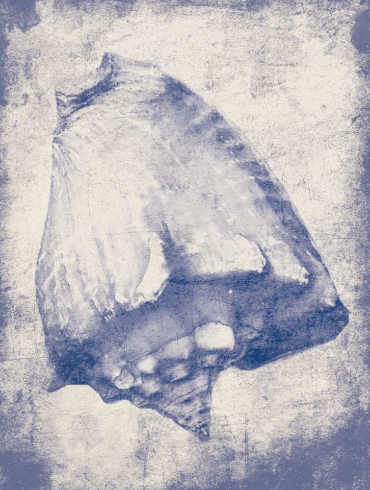 Shell Shade art print by Jace Grey for $57.95 CAD