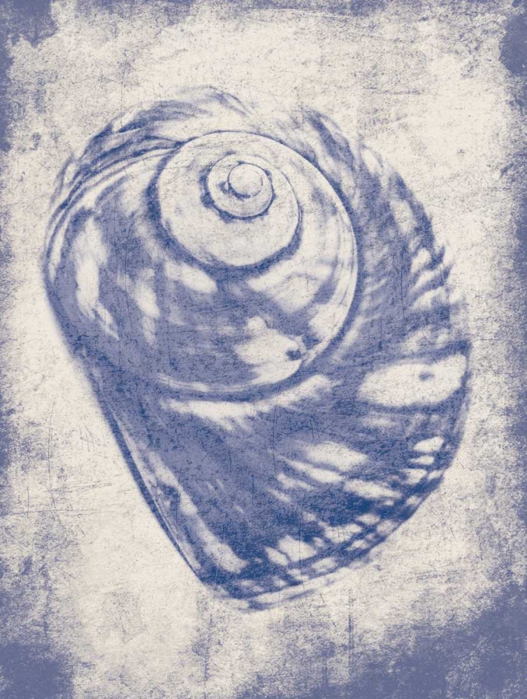 Shell Shade Mate art print by Jace Grey for $57.95 CAD