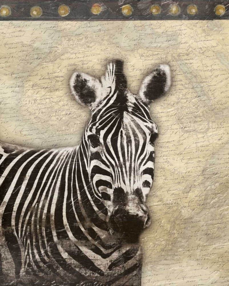 Zebra Africa 2 art print by Jace Grey for $57.95 CAD