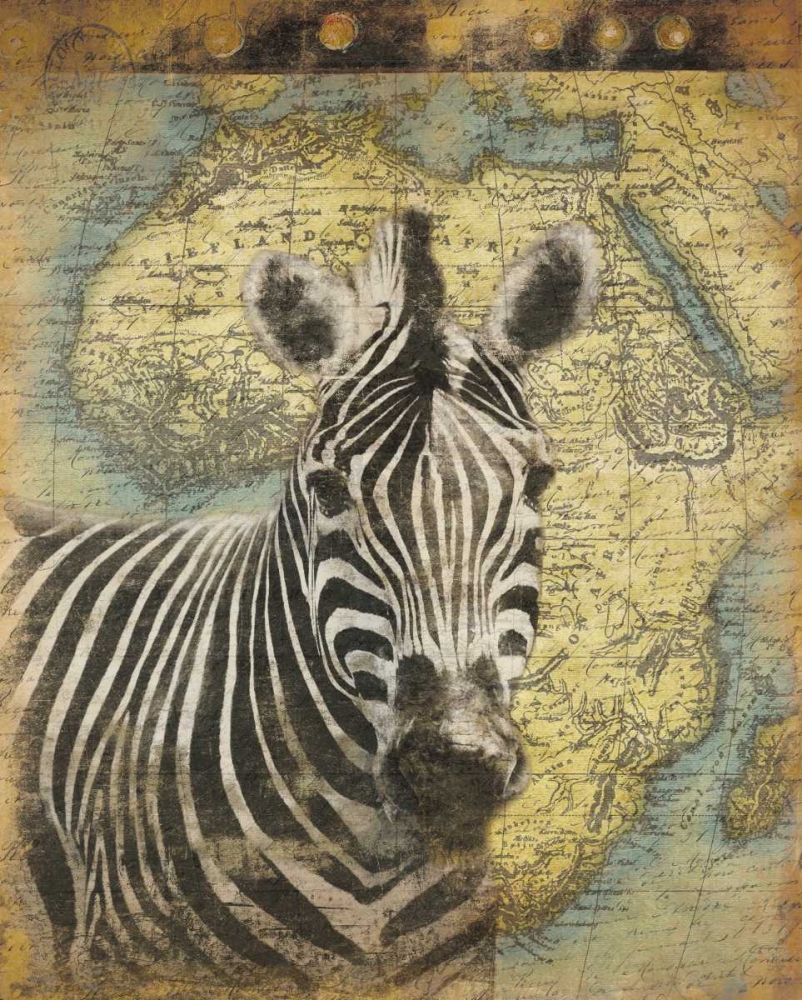 Zebra Africa art print by Jace Grey for $57.95 CAD