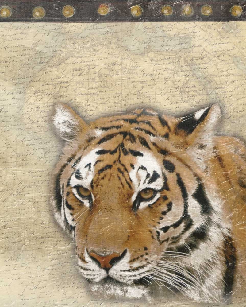 Tiger Africa 2 art print by Jace Grey for $57.95 CAD