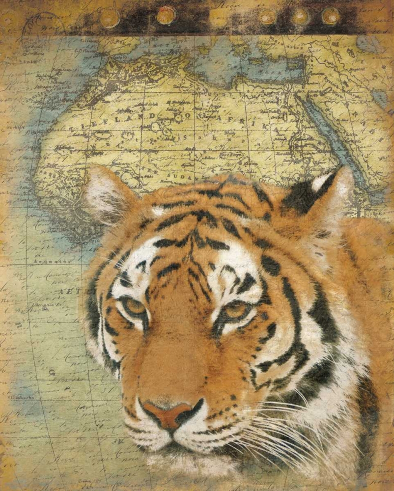 Tiger Africa art print by Jace Grey for $57.95 CAD
