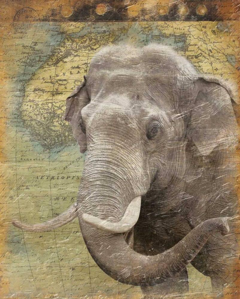Elephant 2 art print by Jace Grey for $57.95 CAD