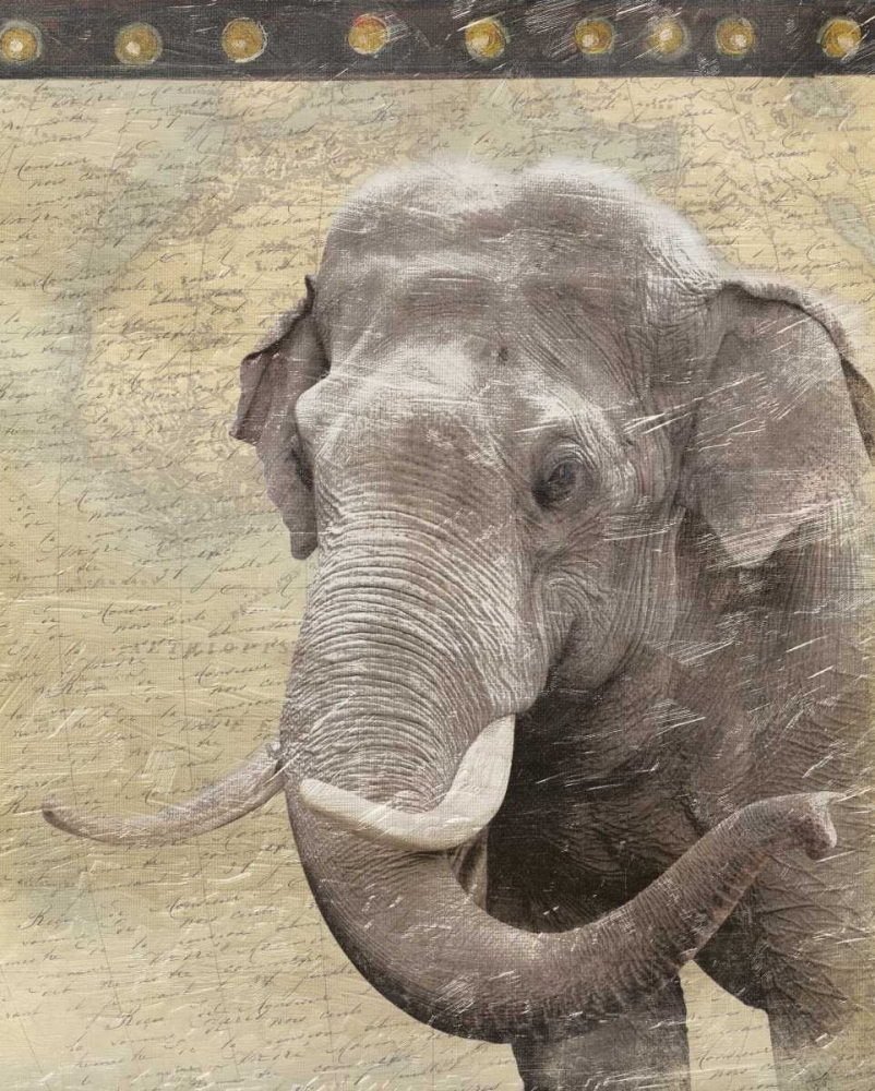 Elephant art print by Jace Grey for $57.95 CAD