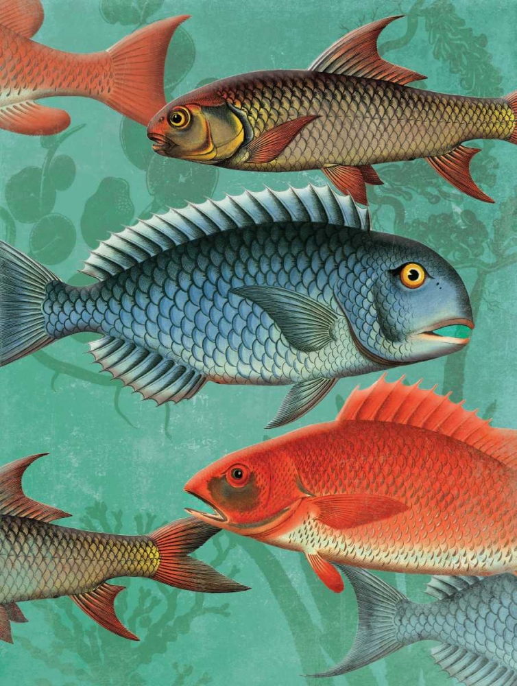 School OF Fish art print by Jace Grey for $57.95 CAD
