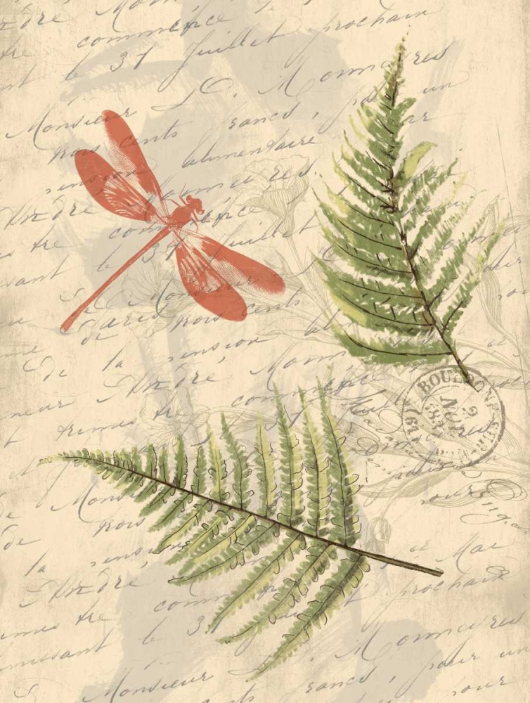 Ferns art print by Jace Grey for $57.95 CAD