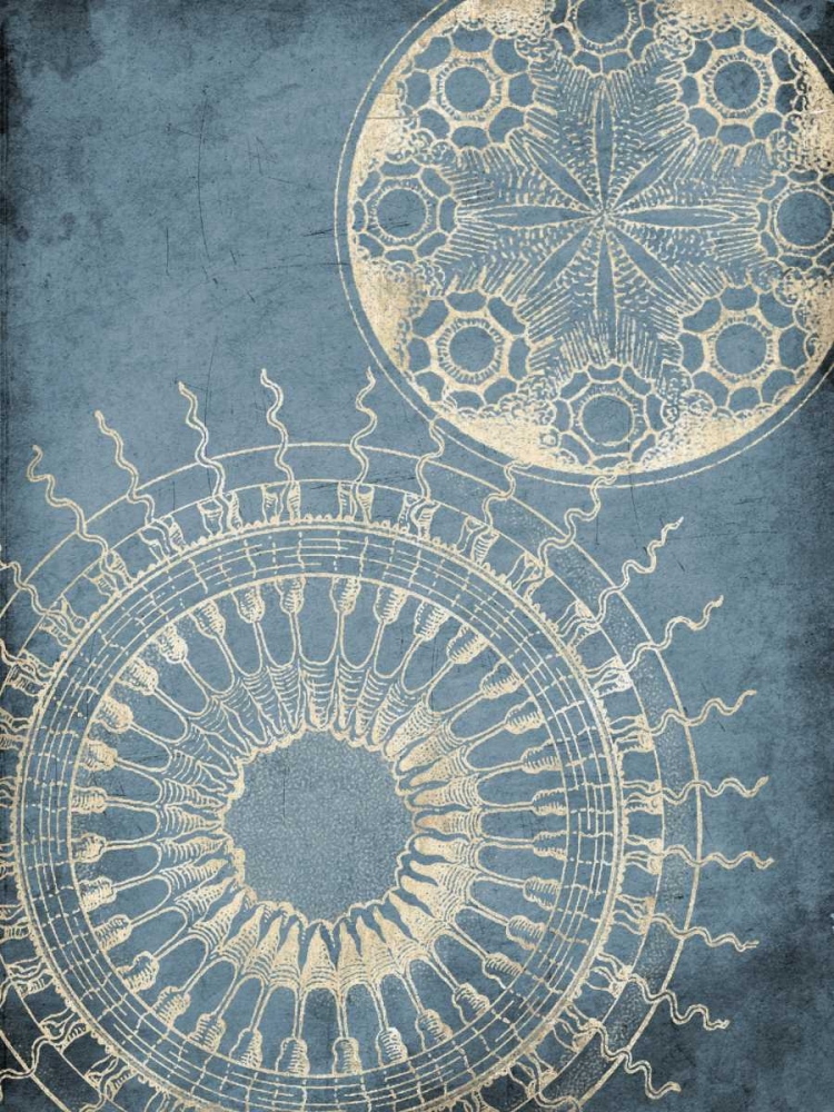 Coastal Patterns Cream art print by Jace Grey for $57.95 CAD