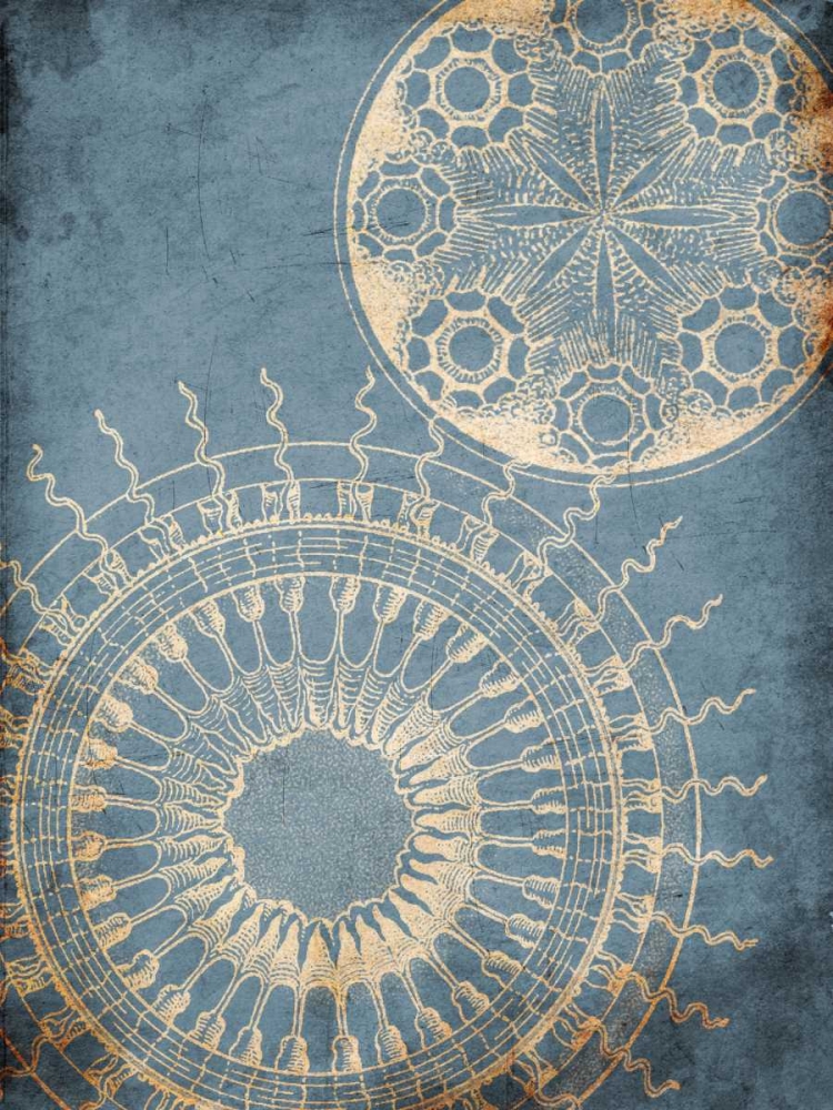 Coastal Patterns art print by Jace Grey for $57.95 CAD