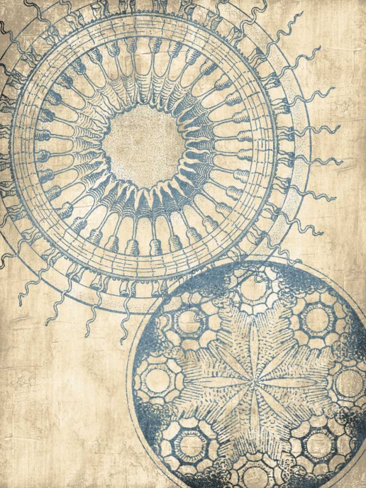 Coastal Patterns Cream Mate art print by Jace Grey for $57.95 CAD
