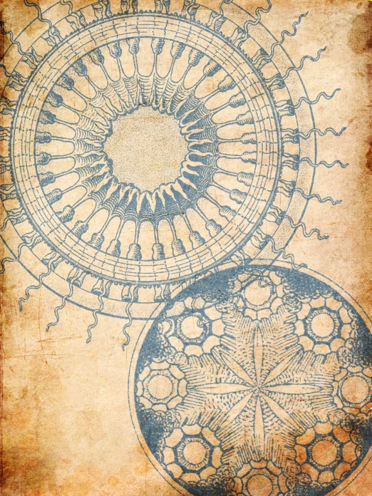 Coastal Patterns Mate art print by Jace Grey for $57.95 CAD