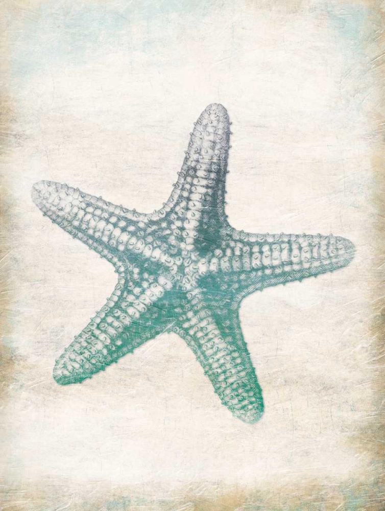 Starfish art print by Jace Grey for $57.95 CAD