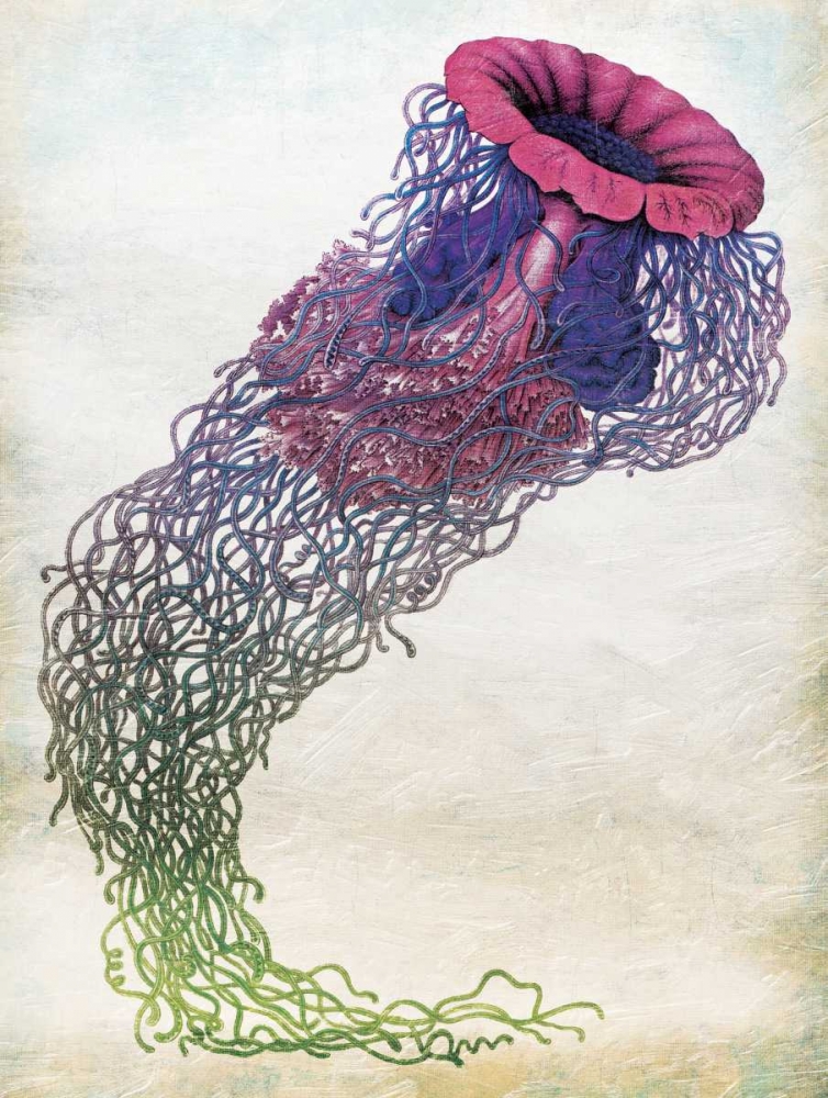 Jellyfish art print by Jace Grey for $57.95 CAD