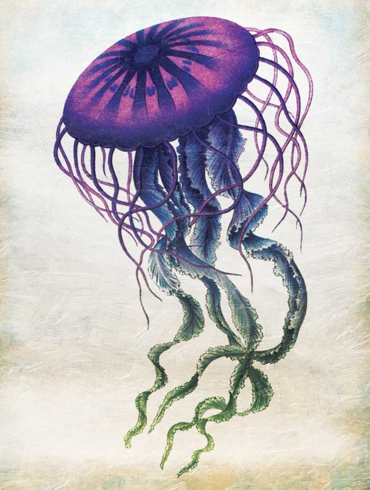 Colored Jellyfish art print by Jace Grey for $57.95 CAD