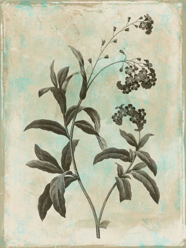 Earthy floral 1 art print by Jace Grey for $57.95 CAD