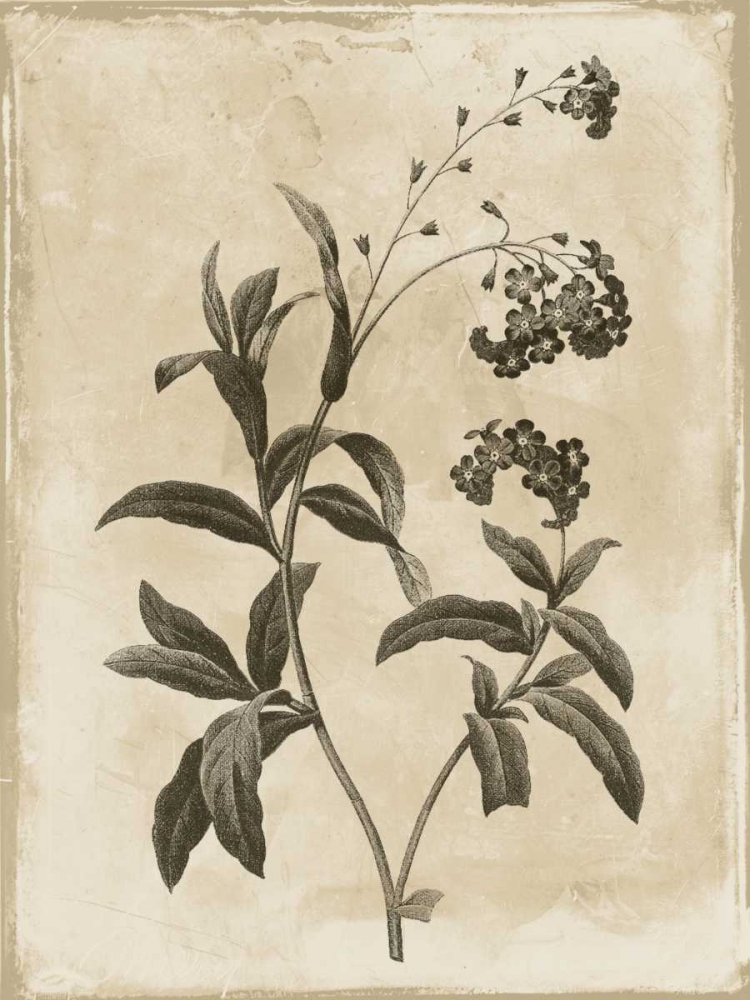 Earthy floral 1 art print by Jace Grey for $57.95 CAD