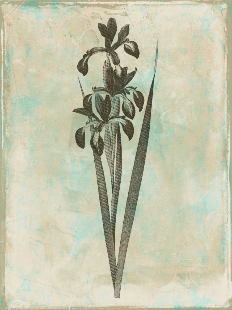 Earthy Floral Blend art print by Jace Grey for $57.95 CAD